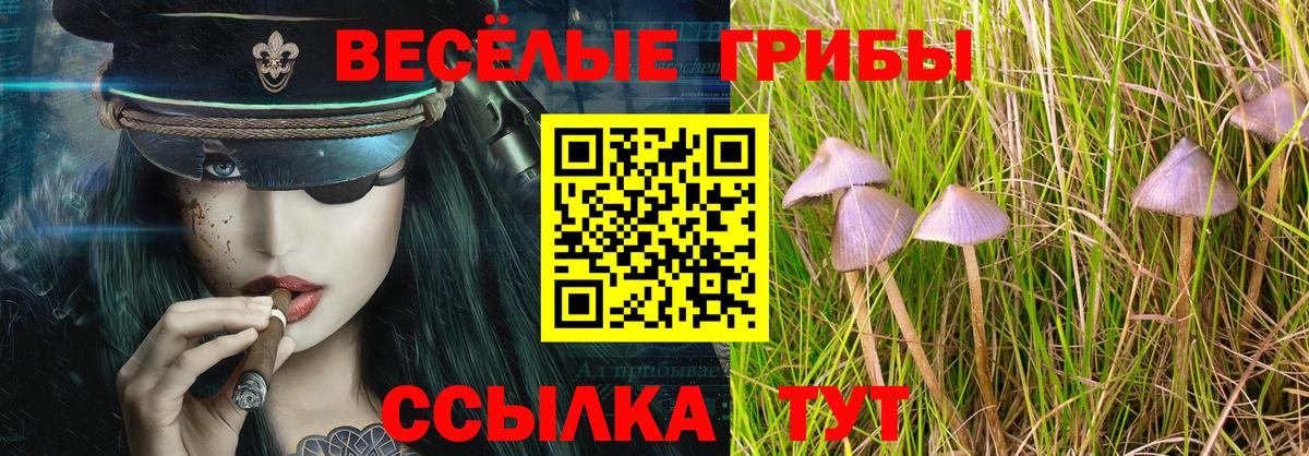 Псилоцибиновые грибы GOLDEN TEACHER Прокопьевск