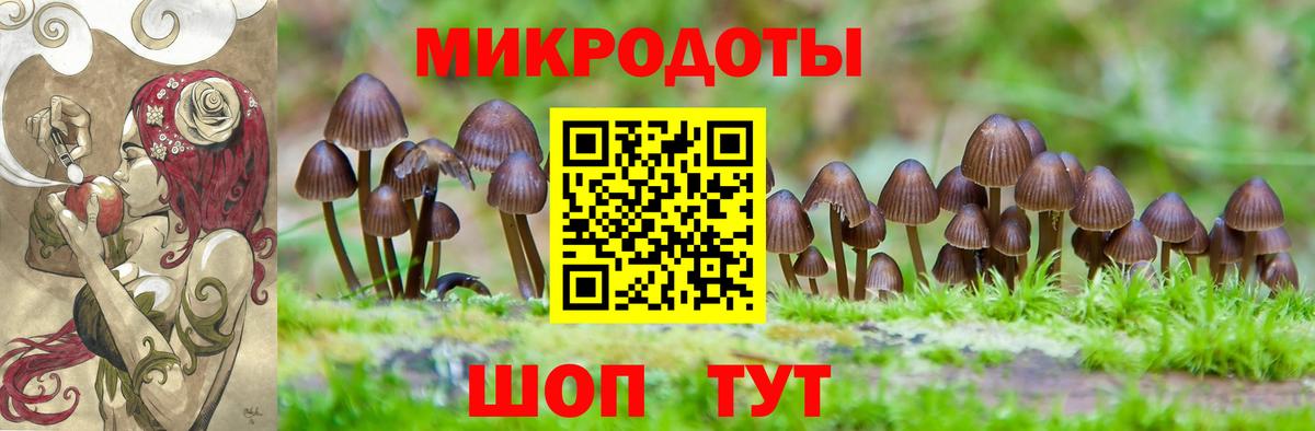 как найти наркотики  Вход с VPN  Прокопьевск  Галлюциногенные грибы Magic Shrooms 